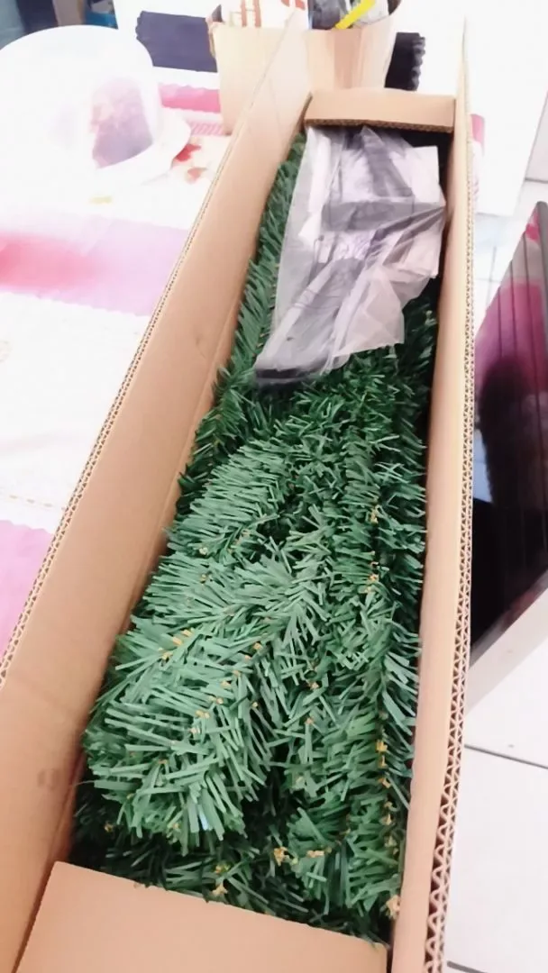 Galhos verdes e estrutura da árvore dentro da caixa