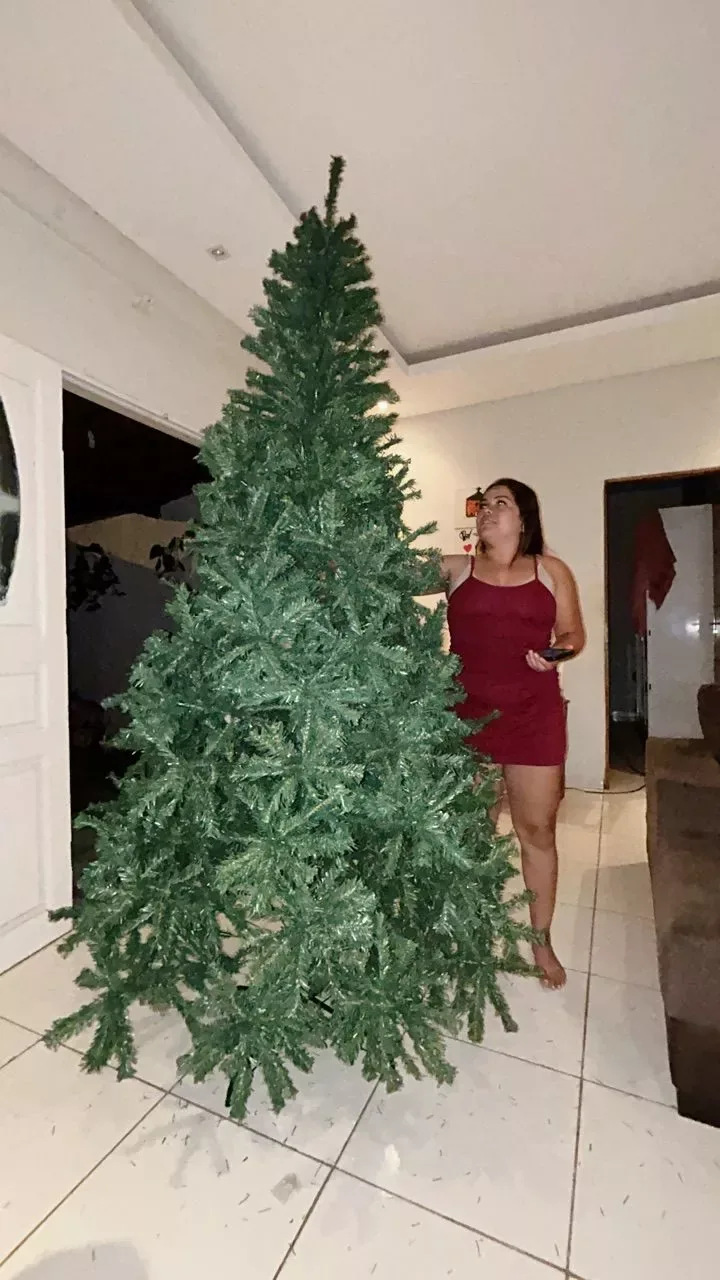 Árvore grande montada ao lado de uma pessoa