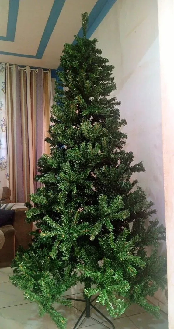 Árvore verde montada sem decoração em sala